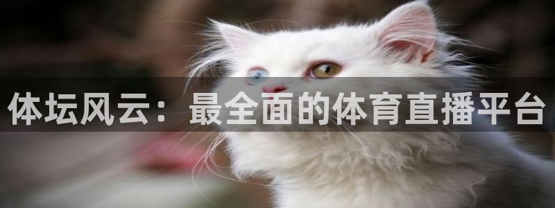 体坛风云：最全面的体育直播平台