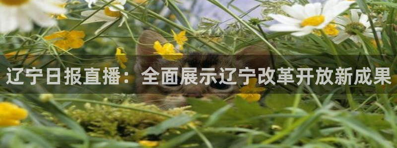 辽宁日报直播：全面展示辽宁改革开放新成果