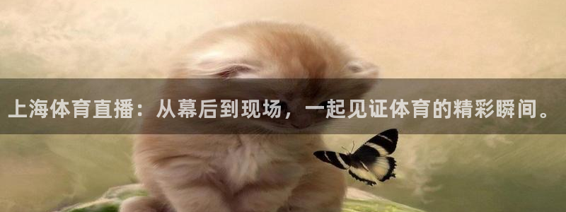 上海体育直播：从幕后到现场，一起见证体育的精彩瞬间。