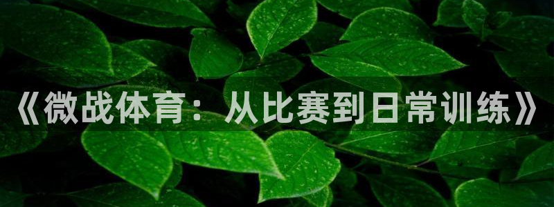 《微战体育：从比赛到日常训练》