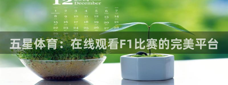 五星体育：在线观看F1比赛的完美平台