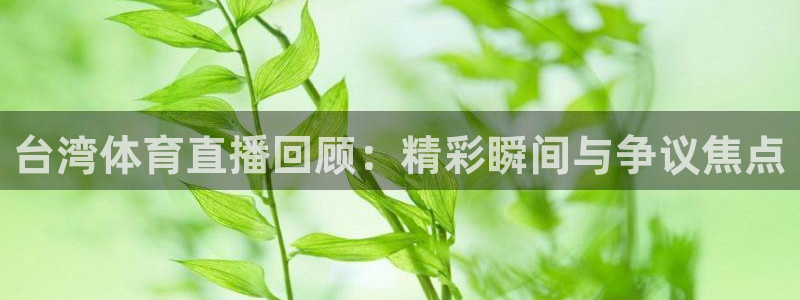 台湾体育直播回顾：精彩瞬间与争议焦点
