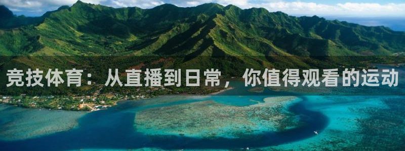 竞技体育：从直播到日常，你值得观看的运动